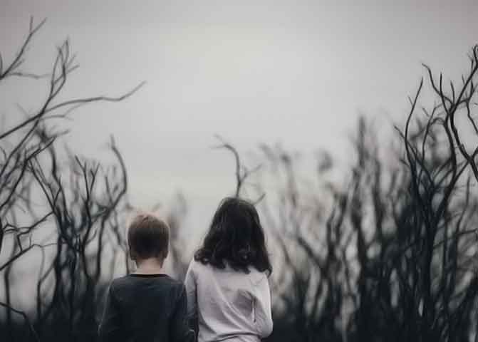 2024年最新版免费的器测压文章